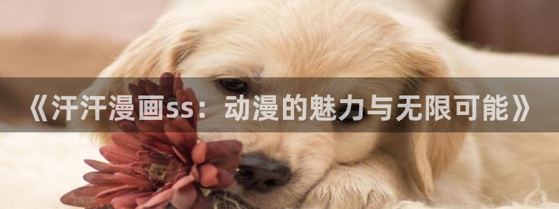 阴森森宝贝贝勒漫画：《汗汗漫画ss：动漫的魅力与无限可能》