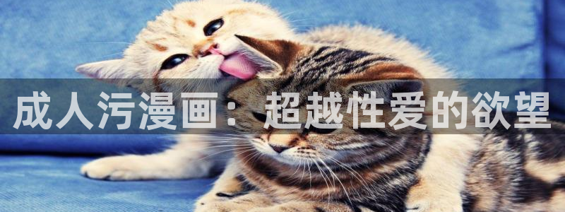 魔咒贝勒漫画：成人污漫画：超越性爱的欲望