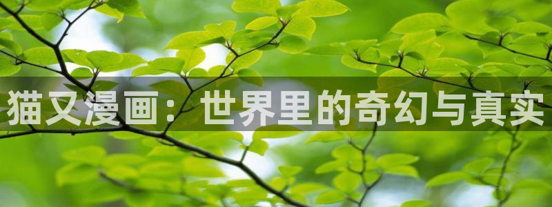 贝勒漫画网页入口