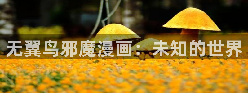 贝勒漫画在线网站