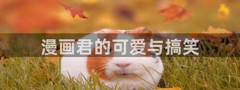 贝勒漫画登录页面