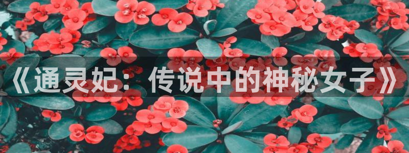 巨人族的花嫁贝勒漫画