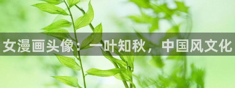 贝勒漫画网