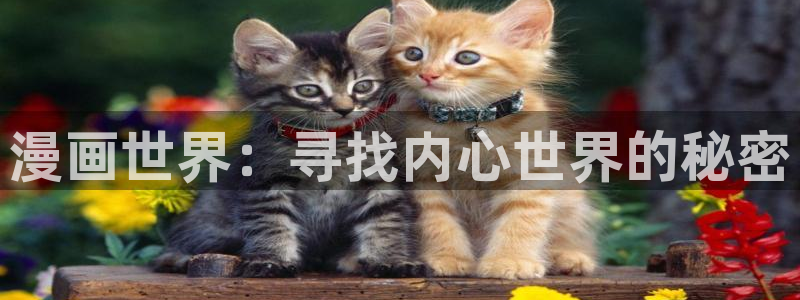 贝勒漫画在线观看周期表