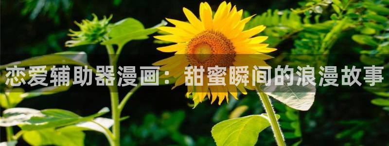 我要拥有你的全部贝勒漫画