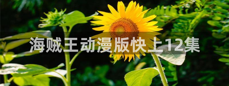 用户登录贝勒漫画